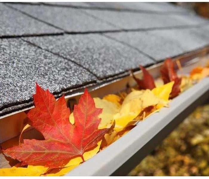 A roofline with orange and yellow leaves in the gutter