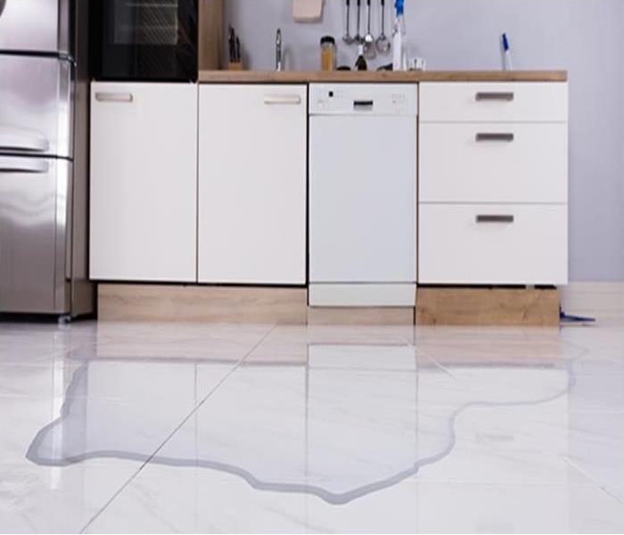 A dishwasher located between cupboards shows leaking water in the form of a puddle on the tile floor.